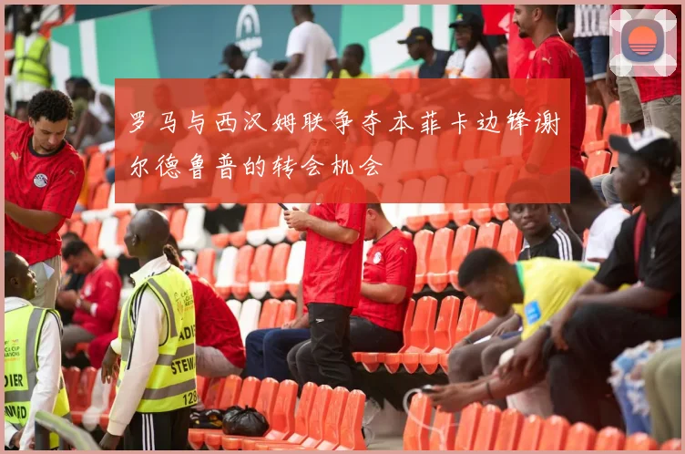 罗马与西汉姆联争夺本菲卡边锋谢尔德鲁普的转会机会